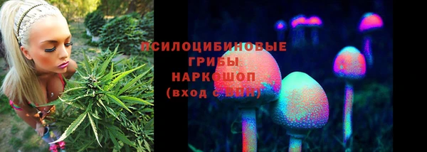 твердый Нязепетровск